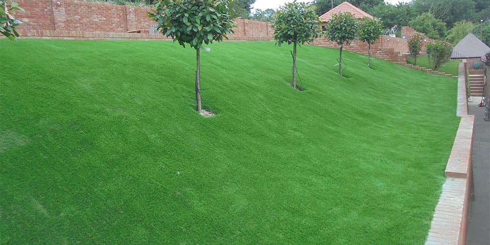 A sloped Knoxville-area backyard, before